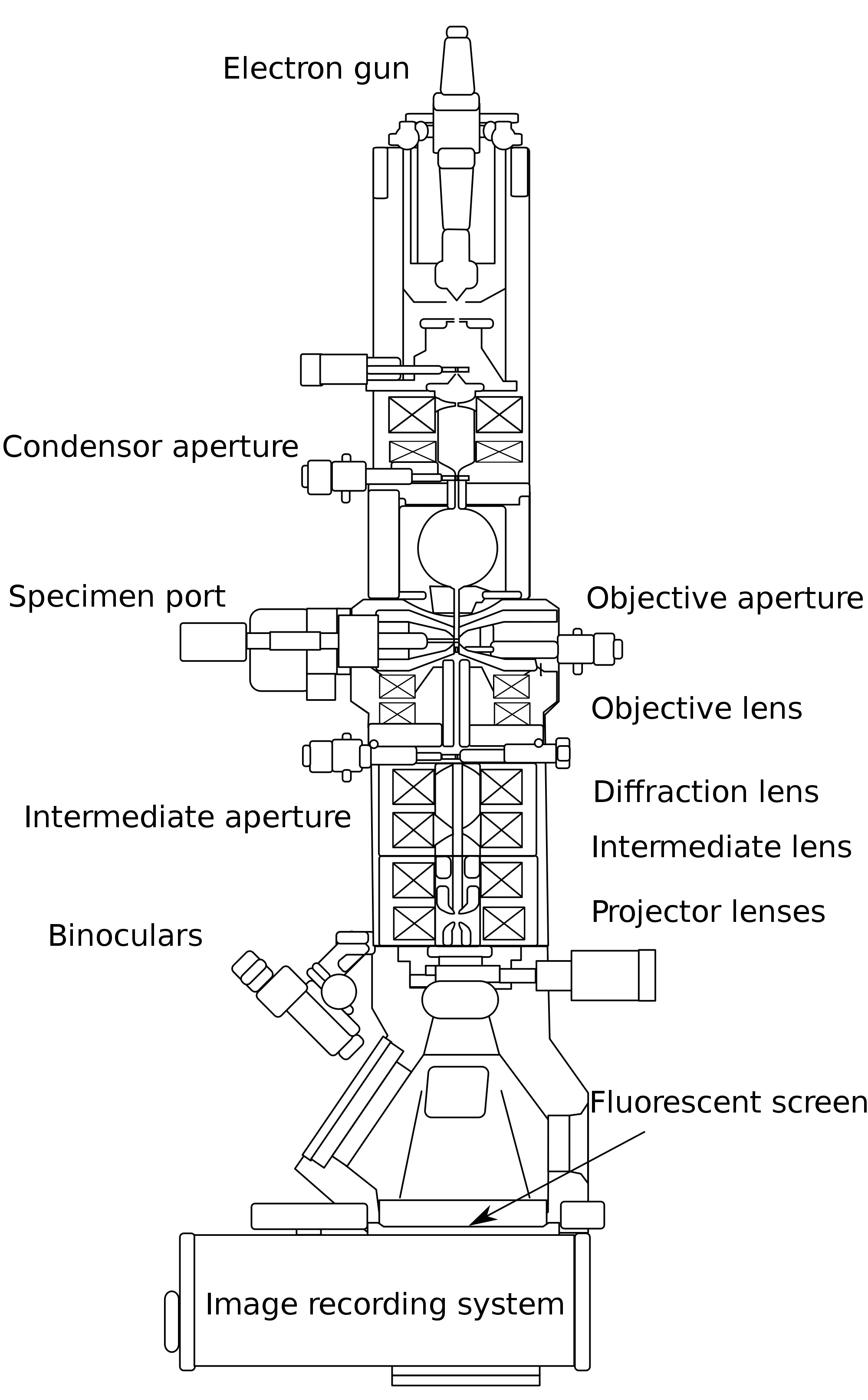 Transmission Electron microscopy (tem) scheme